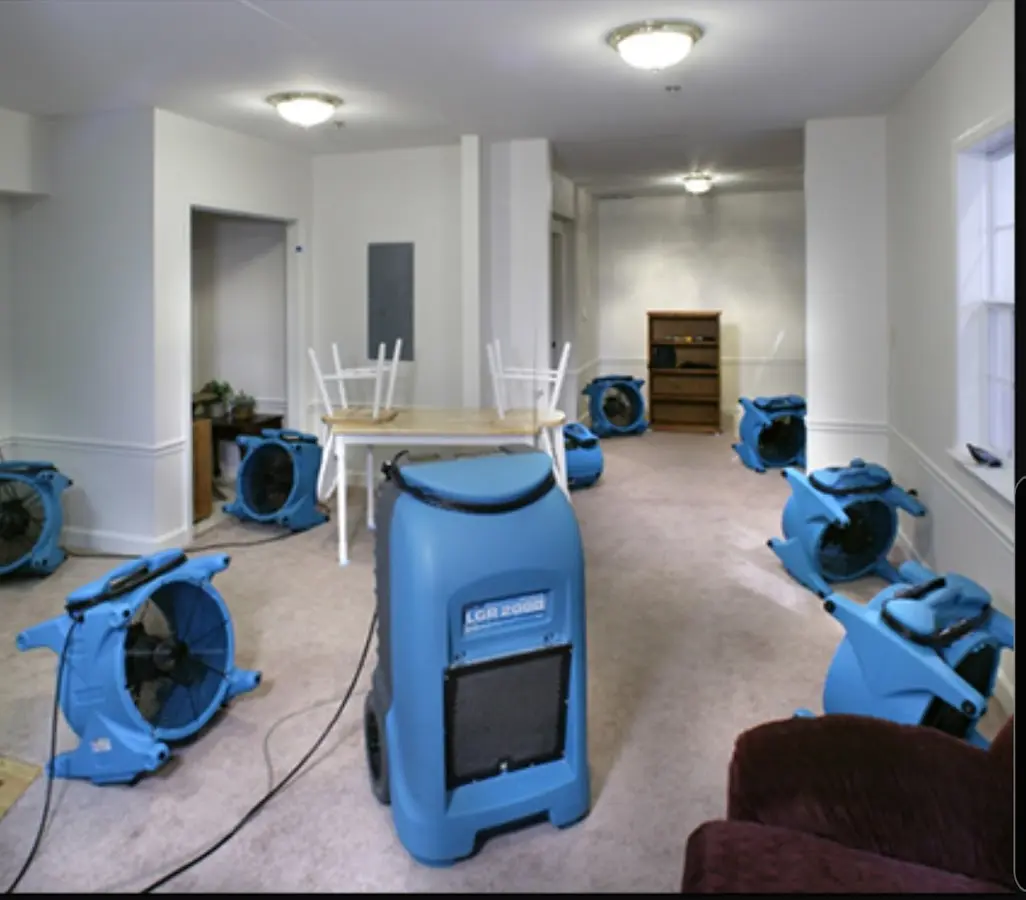 Air movers and dehumidifier setup for Water Extraction & Removal in Meridian